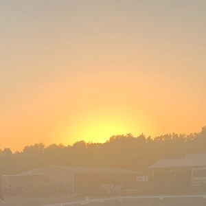 Meet your Posher, Carolyn